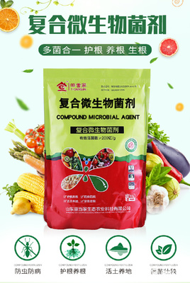 土傳病克星 復合微生物菌劑及其抗重茬、抗病害的創新研發