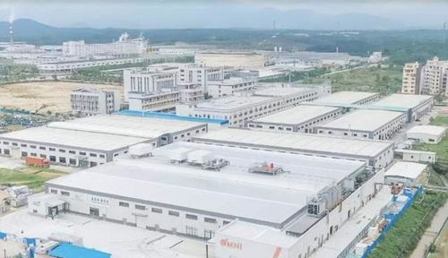 中國崛起為全球植物基食品重要市場，Omni新葷主義引領(lǐng)安心純素餐飲服務(wù)新潮流