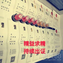 深圳餐飲服務(wù) 融合、創(chuàng)新與城市脈搏